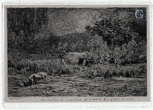 Daubigny, Le Cochon