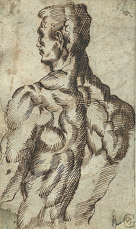 Passarotti, Male Nude Study