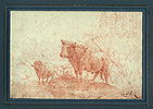 Roos, Cattle and Sheep