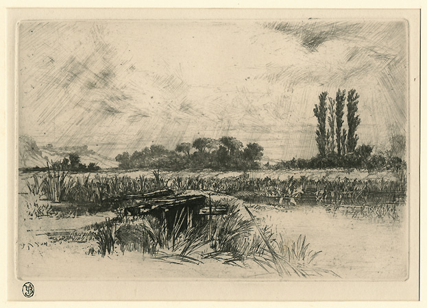 Haden, A Water Meadow