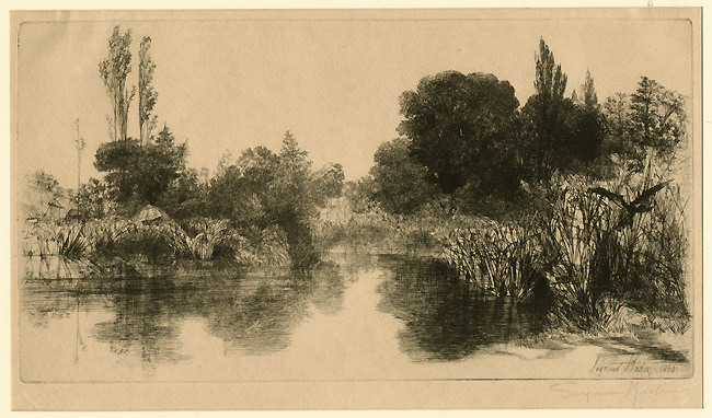 Haden, Shere Mill Pond Haden, Shere Mill Pond