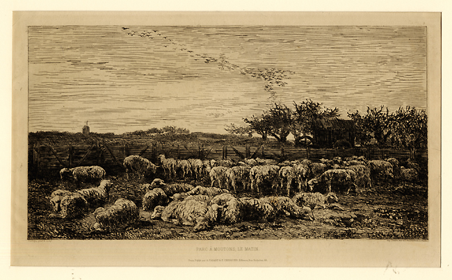 Daubigny, Le Grand Parc Daubigny, Le Grand Parc
