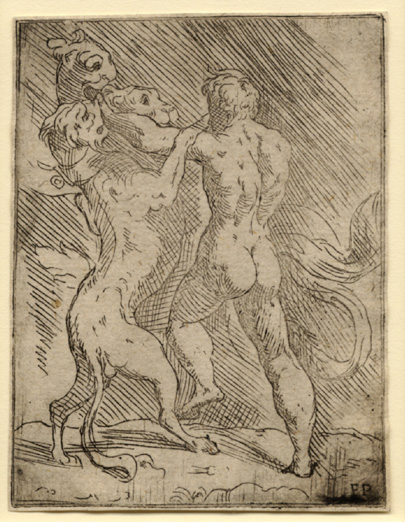 Master FP, Hercules Killing Master FP, Hercules Killing