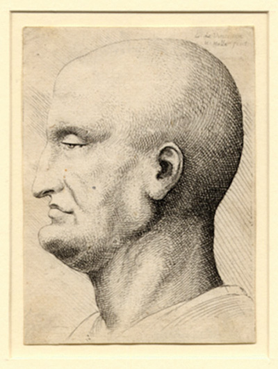 after da Vinci, Caricature Head after da Vinci, Caricature Head