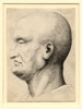 after da Vinci, Caricature Head 