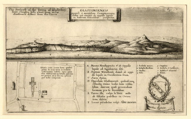 Hollar, Glastoniensis Hollar, Glastoniensis