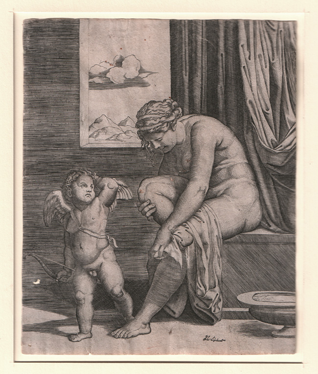 Anonymous Italian, Venus Anonymous Italian, Venus