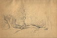 Dupré, Fallen Tree in a Forest Dupré, Fallen Tree in a Forest