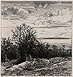Jacque, Lisière du Bois Jacque, Lisière du Bois