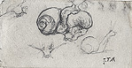 Millet, Snails Millet, Snails