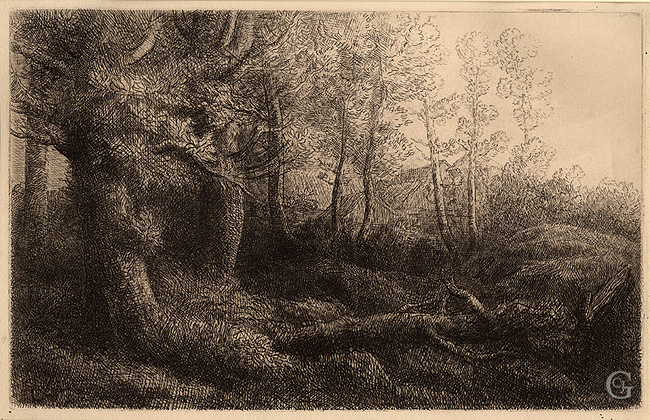 Legros: Lisière de Forêt