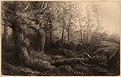 Legros: Lisière de Forêt Legros: Lisière de Forêt