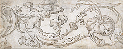 Florentine School , Floral Ornament