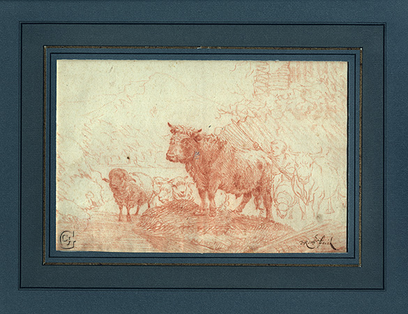 Roos, Cattle and Sheep