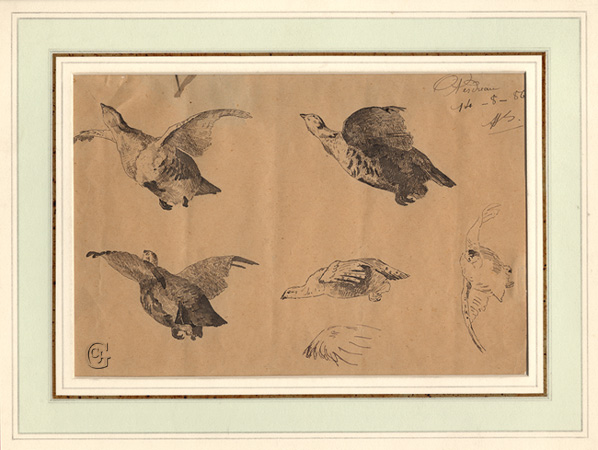 Bodmer, Partridges Bodmer, Partridges