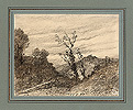 Harpignies , Trees