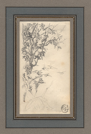 Delauney, Fruit Tree with Birds Delauney, Fruit Tree with Birds