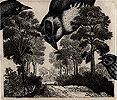 Birds of Ohio