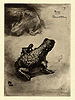 Japonisme: Crapaud Bronze