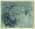 Japonisme: Ex Libris, Papillon et Libellule