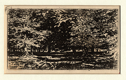 Forêt Forêt
