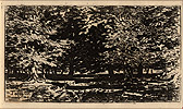 Forêt