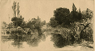 Haden, Shere Mill Pond Haden, Shere Mill Pond