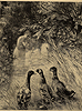 Canards Supris Canards Supris
