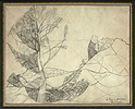 Kantor, Abstracted Landscape