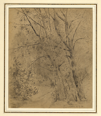 German School, Birches