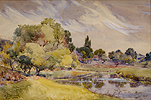 Cotton, Spring Landscape