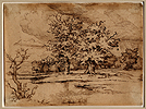 att. to Preller, Oak Trees