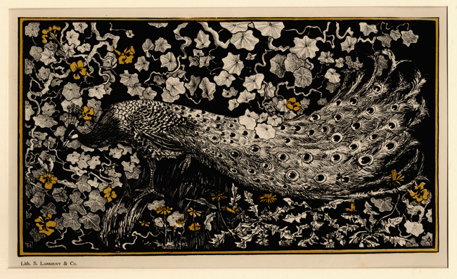 van Hoytema, Peacock amid East-Indian Foliage van Hoytema, Peacock amid East-Indian Foliage