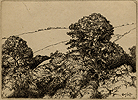 Haskell, Trees and Hills   