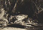 A Yorkshire Dell 