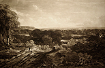 A Woody Landscape   