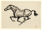 Thorne, Running Horse