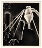 Lozowick: The White Spider Lozowick: The White Spider