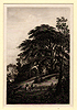 Daubigny, Le Cèdre de Liban Daubigny, Le Cèdre de Liban