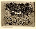 Moran, Scrub Oaks