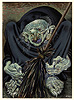 Barberis, The Witch