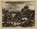 van Meurs, Animals of America