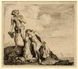 van Uyttenbroek, Bacchus
