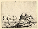 Stoop, A Grazing Horse
