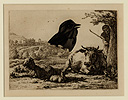 Freese, August