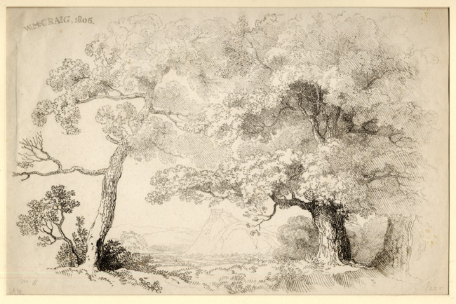 Craig, Trees