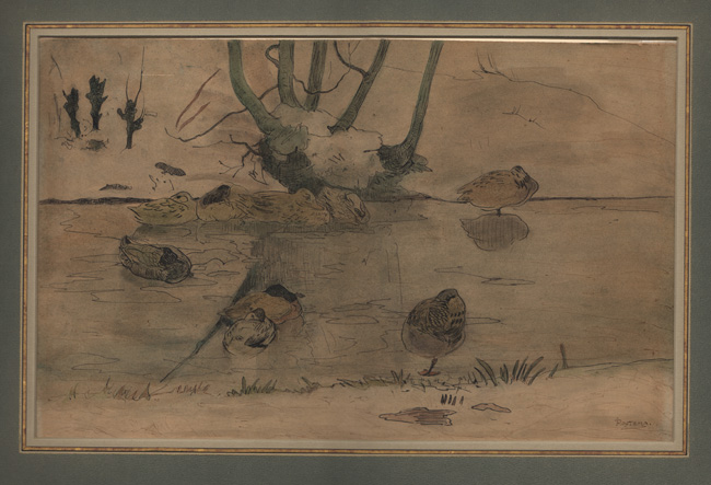 Van Hoytema, Ducks in a Pond Van Hoytema, Ducks in a Pond