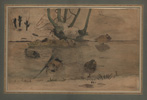 Van Hoytema, Ducks in a Pond Van Hoytema, Ducks in a Pond